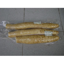 Nuevo Crop / de calidad superior / precio competitivo / Yam fresco (35 cm y más)